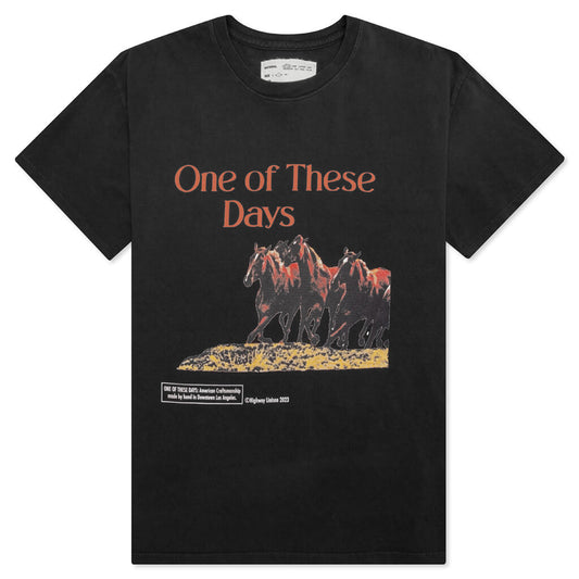 Wild Horses T-Shirt - Faded Black